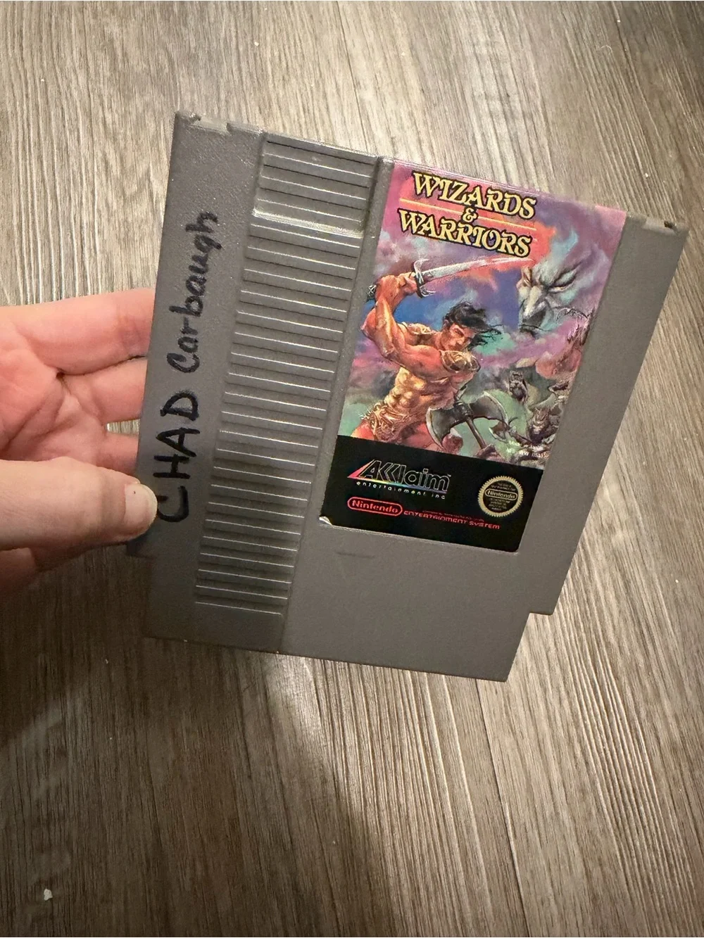 Wizards & Warriors NES Game